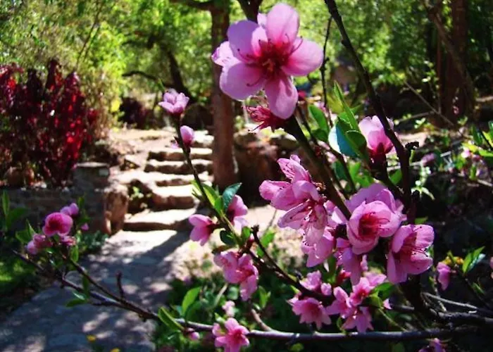 Las Chullpas Eco-lodge