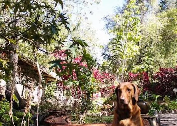 Alojamento Las Chullpas Eco-lodge